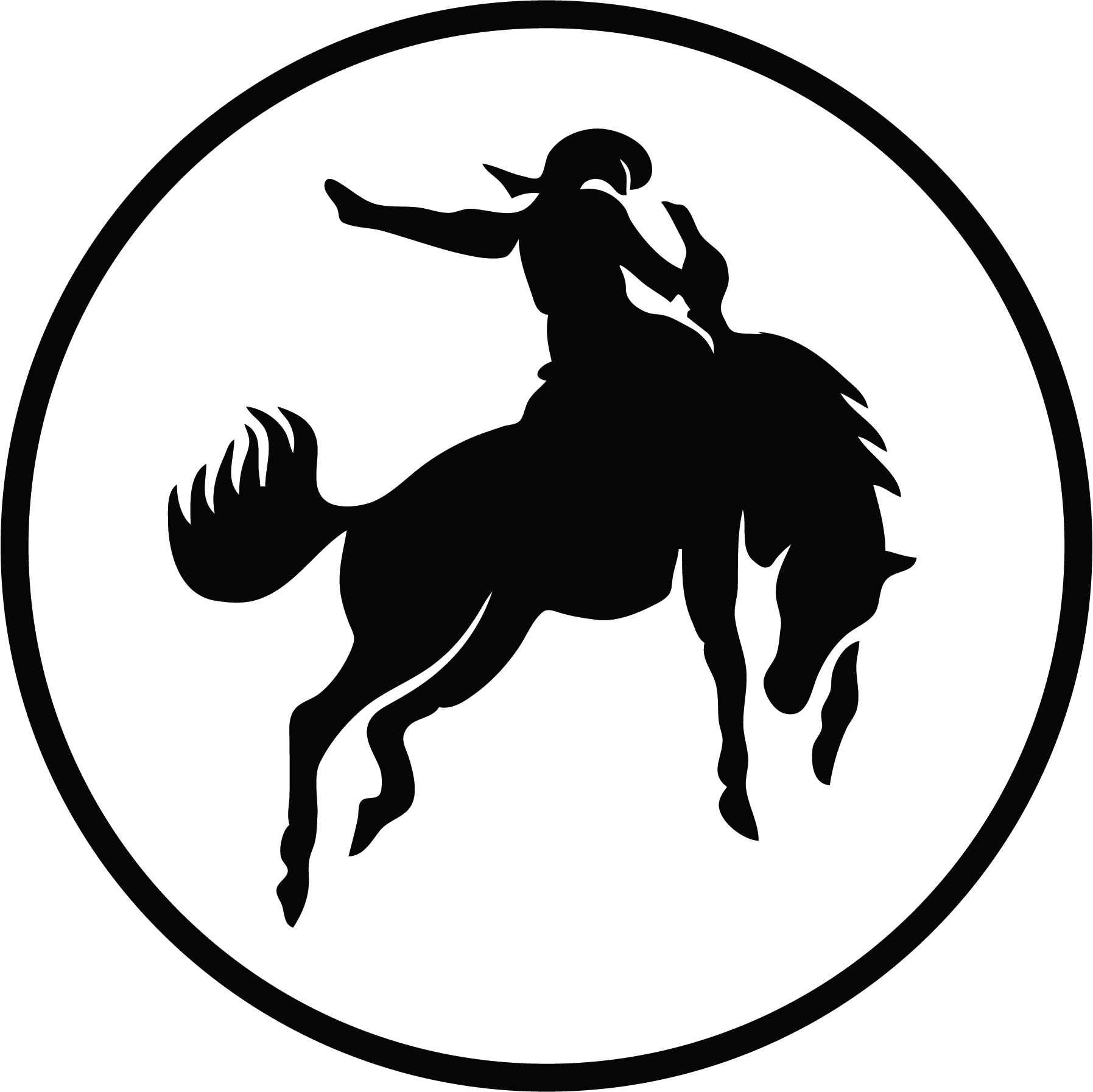 Logo of Raymond